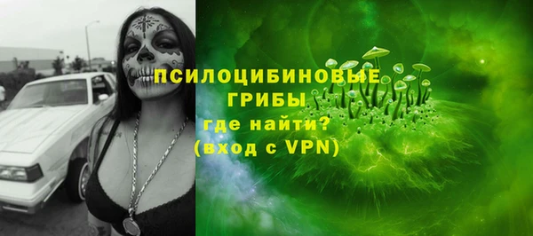 прущие грибы Баксан
