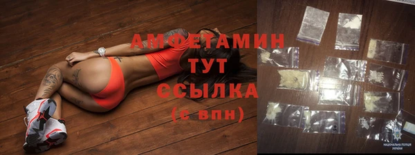 прущие грибы Баксан