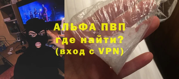 прущие грибы Баксан