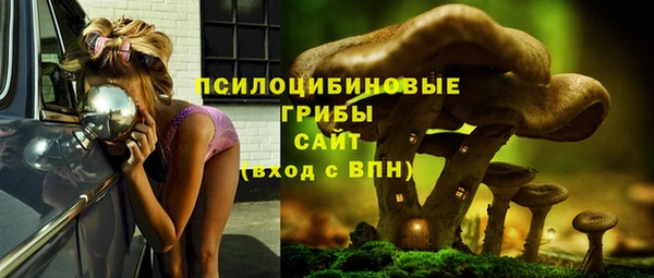 прущие грибы Баксан