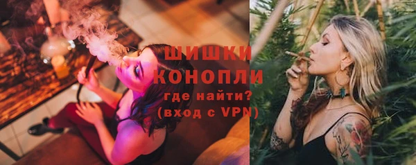 прущие грибы Баксан