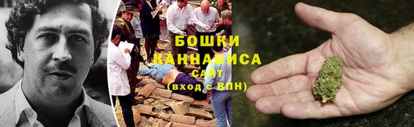 прущие грибы Баксан